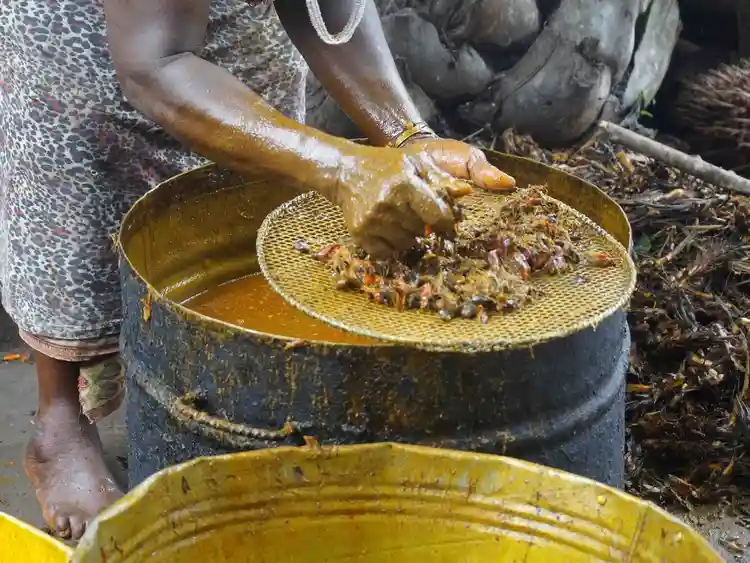 L'huile de palme rouge